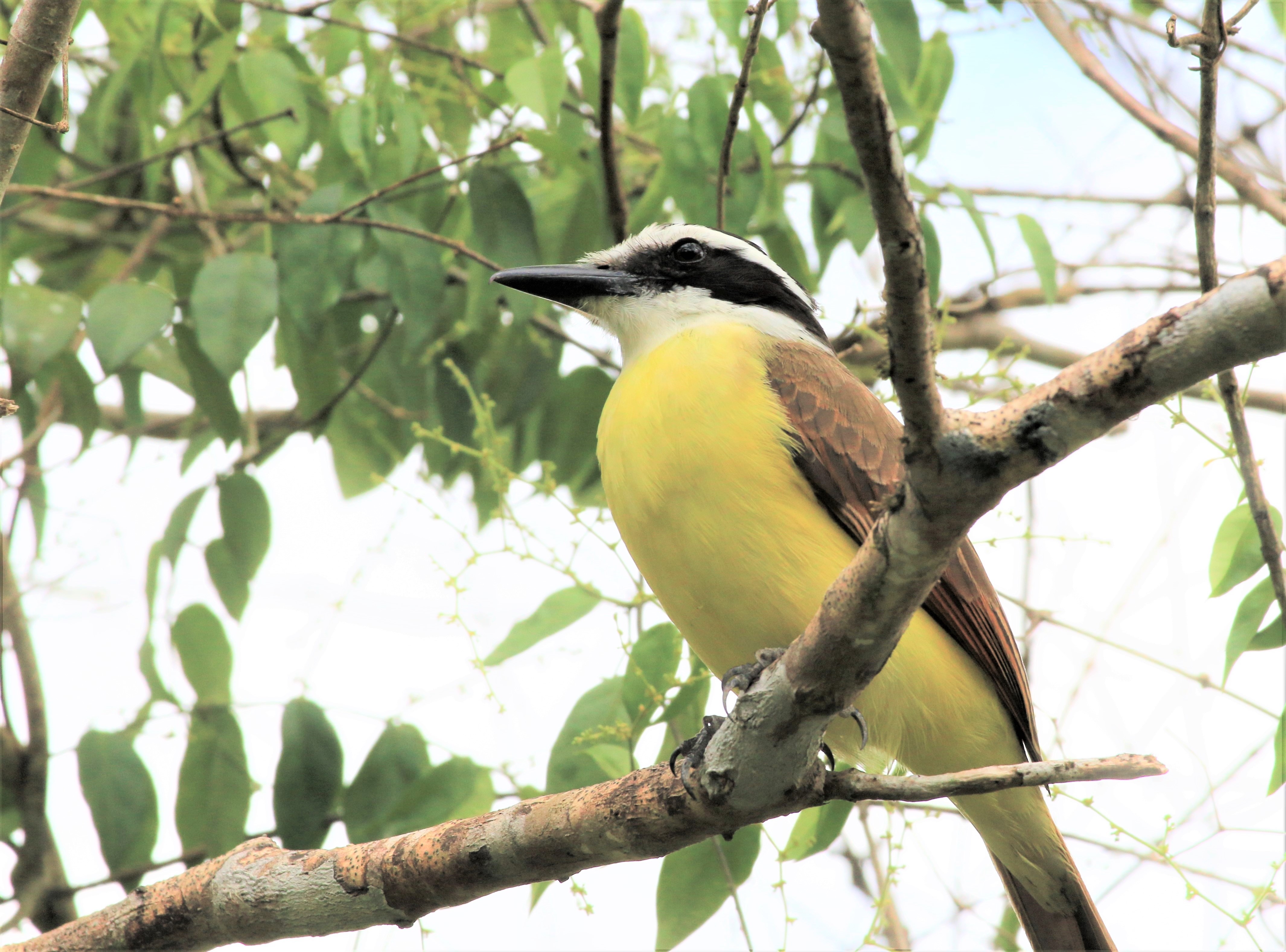 Costa Rica